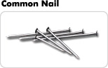 Common Nail